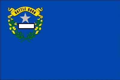  quel tat appartient ce drapeau ?