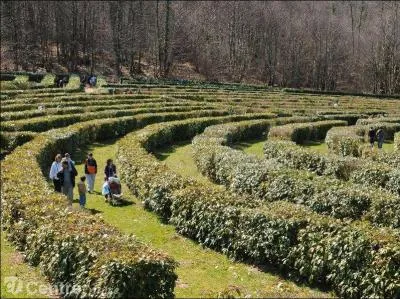 Loisirs - Le labyrinthe gant de Guret, situ dans la Creuse, est le plus grand labyrinthe vgtal permanent au monde. Quelle est sa superficie ?