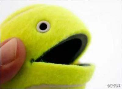 Sport - De quel jeu est driv le tennis ?