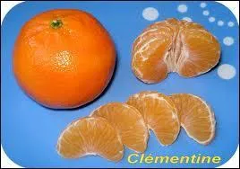 L'abb Clment dcouvrit dans ce village agricole une varit de la mandarine qui portera son nom  Clmentine . C'est :