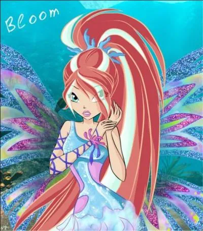 D'où vient Bloom ?