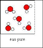Quiz Sciences