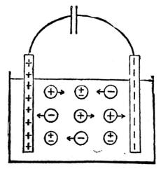 Quiz Sciences