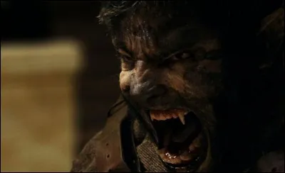 C'est une dfinition  faire peur !