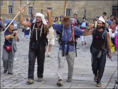 Requin ou voyageur fidle !