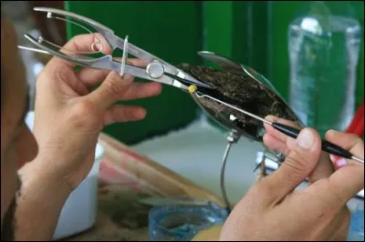 Parvenir jusqu'ici sans erreur vous a fait sortir de votre coquille nacre, vous tes vraiment --- ----- de culture !