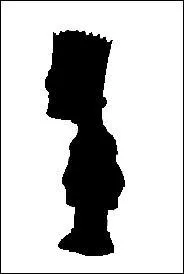 A qui appartient cette ombre ?