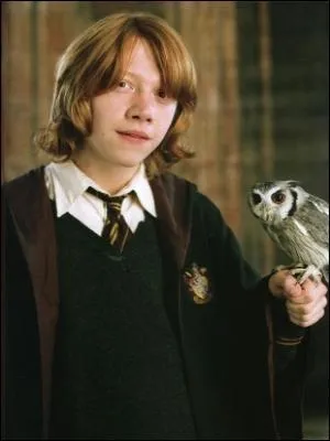 Quel est l'animal qu'il n'a jamais possd ?