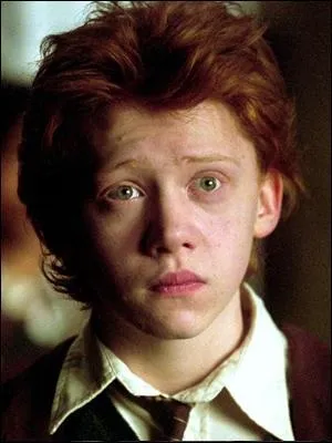  quel tage se trouve sa chambre, au Terrier ?