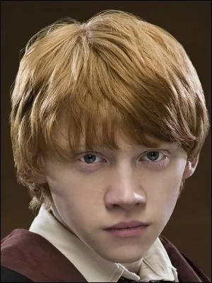 Quelle est sa bande dessine prfre ?