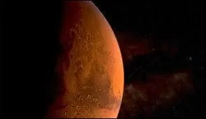 Quelle est cette plante ?