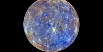 Quelle est cette plante ?