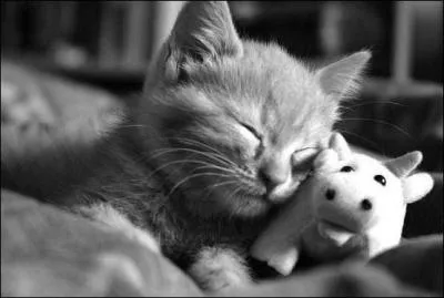 Parmi ces adjectifs, lequel n'est pas un synonyme de   doux  ?