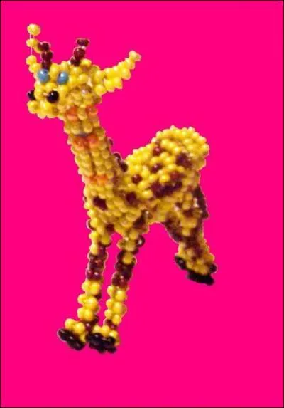 Quel est cet animal ?