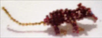 Quel est cet animal ?