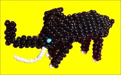 Quel est cet animal ?