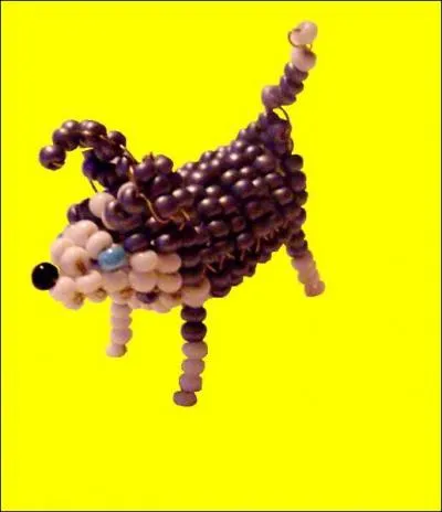 Quel est cet animal ?