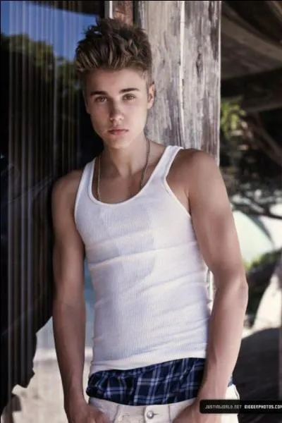 Avec qui Justin Bieber fait-il un 'feat' sur sa chanson  Baby  ?