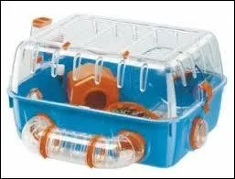 Trouvez l'intrus dans cette liste de choses ncessaires dans une cage pour gerbilles ou souris :