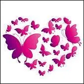 Tu ... aussi te ... avec le ragot ... champignons et ... papillons sals.