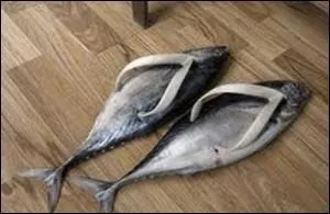 C'est le  pied  d'aller  la pche ! C'est l'actuel prsident des Kiribati (utiles l't  l'extrieur, elles n'ont pas froid aux yeux... ou aux pieds) :