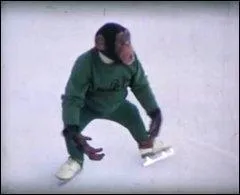 Lche ces patins et arrte de faire le singe ! Qui est le actuel prsident hongrois (cela veut dire qu'il n'est pas  la patinoire) ?