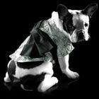 Un petit kimono ? Qui est le 57me premier ministre du Japon (les moines sont  pris  de lui obir) ?