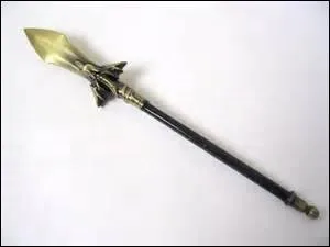 Quel est le nom de cette arme ?