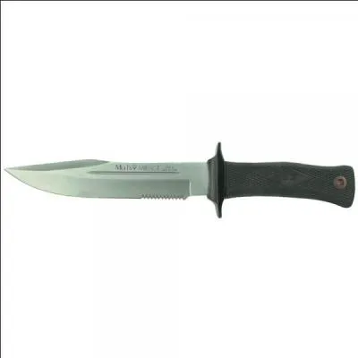 Quel est le nom de cette arme ?