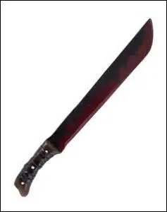 Quel est le nom de cette arme ?