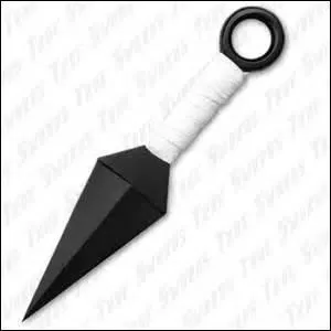 Quel est le nom de cette arme ?