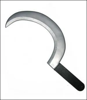 Quel est le nom de cette arme ?