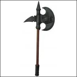 Quel est le nom de cette arme ?