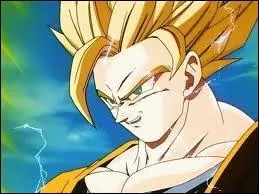 Qui est ce Super Saiyan et quel est son numro ?