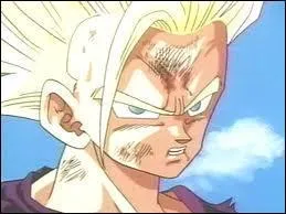 Qui est ce Super Saiyan et quel est son numro ?