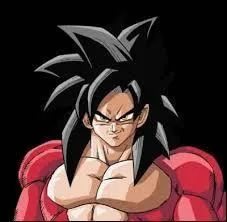 Qui est ce Super Saiyan et quel est son numro ?