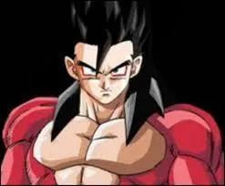 Qui est ce Super Saiyan et quel est son numro ?