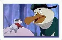 Qui est l'albatros ?