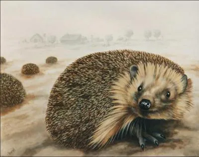 Où les hérissons font-ils leurs nids ?