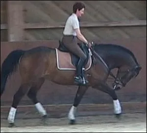 Ces rnes allemandes sont-elles correctement employes ?