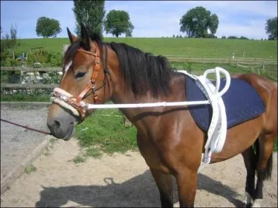 Changeons d'enrnement, comment appelle-t-on celui-ci ?