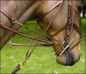 Quel est cet enrnement ?