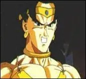 Qui la tu avec goku?