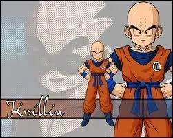 Par qui Krilin se fait-il battre lors du Tenkaichi Budokai ?