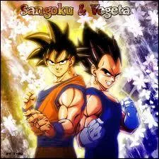 Qui sont les pures saiyens ?