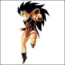 Qui est Raditz ?