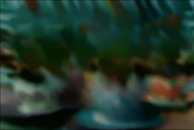 Quelle est cette attraction ?