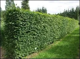 Le mot commence par : Porte ...