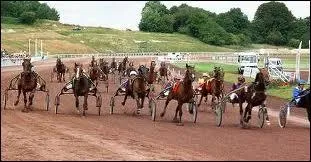 Le mot commence par : Porte les ... .