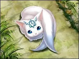 Comment se nomme ce petit renard osaki ?